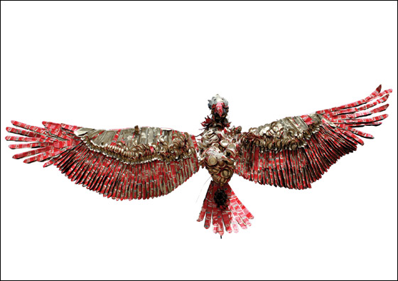 FARFESHplus | فرفش بلس - لأول مرة في إسرائيل.. حديقة حيوانات المعاد