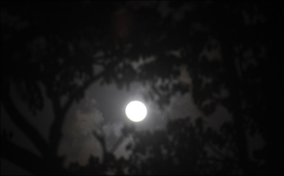    3 -  