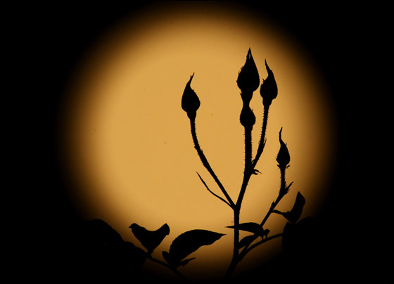    8 -  