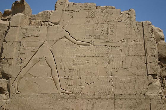 صورة رقم 3 - أسرار تاريخ الكائنات الفضائية على الأرض (1) صورة رقم 3 - أسرار تاريخ الكائنات الفضائية على الأرض (1)