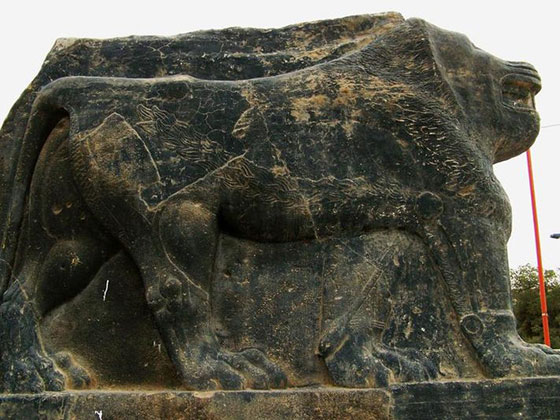 صورة رقم 5 - فيديو مؤلم.. شاهد جرائم داعش واعمالها الارهابية في حديقة الرشيد صورة رقم 5 - فيديو مؤلم.. شاهد جرائم داعش واعمالها الارهابية في حديقة الرشيد