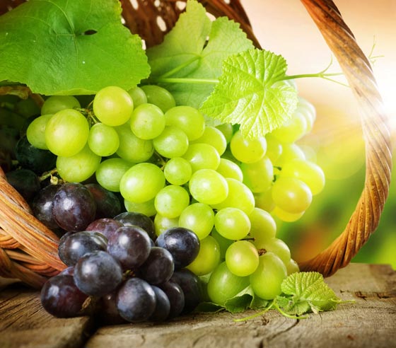 فيديو مدهش: هل تعرف ما يفعله العنب لجسد الإنسان عند تناوله صورة رقم 3 فيديو مدهش: هل تعرف ما يفعله العنب لجسد الإنسان عند تناوله صورة رقم 3