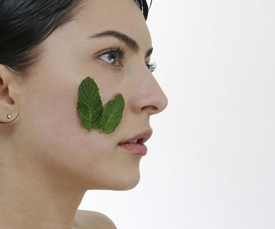 أهم فوائد استخدام النعناع لجمال بشرتك صورة رقم 2 أهم فوائد استخدام النعناع لجمال بشرتك صورة رقم 2