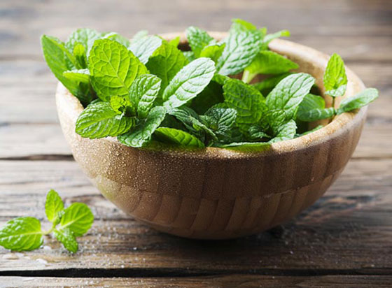 أهم فوائد استخدام النعناع لجمال بشرتك صورة رقم 1 أهم فوائد استخدام النعناع لجمال بشرتك صورة رقم 1