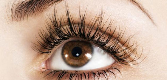 5 نصائح للحصول على رموش كثيفة جذابة وصحية براقة صورة رقم 3 5 نصائح للحصول على رموش كثيفة جذابة وصحية براقة صورة رقم 3