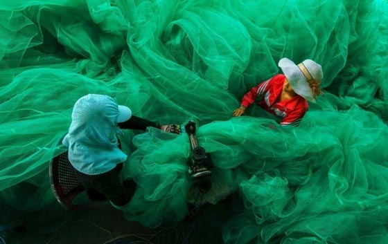 صورة رقم 8 - 26 صورة مبهرة وساحرة للإبداع والجمال المستوحى من الطبيعة صورة رقم 8 - 26 صورة مبهرة وساحرة للإبداع والجمال المستوحى من الطبيعة