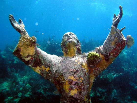 صورة رقم 12 - 26 صورة مبهرة وساحرة للإبداع والجمال المستوحى من الطبيعة صورة رقم 12 - 26 صورة مبهرة وساحرة للإبداع والجمال المستوحى من الطبيعة