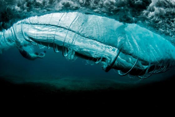 صورة رقم 15 - 26 صورة مبهرة وساحرة للإبداع والجمال المستوحى من الطبيعة صورة رقم 15 - 26 صورة مبهرة وساحرة للإبداع والجمال المستوحى من الطبيعة