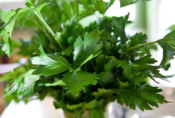 إليكم أبرز أسباب رائحة الفم الكريهة في الصباح وطرق الحد منها صورة رقم 2 إليكم أبرز أسباب رائحة الفم الكريهة في الصباح وطرق الحد منها صورة رقم 2