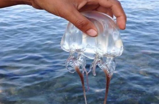 أكثر 10 خرافات منتشرة عن جسم الإنسان.. لا تصدّقها! صورة رقم 5 أكثر 10 خرافات منتشرة عن جسم الإنسان.. لا تصدّقها! صورة رقم 5