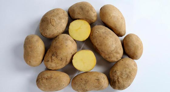 9 اطعمة صحية تقضي على الشعور بالجوع صورة رقم 7 9 اطعمة صحية تقضي على الشعور بالجوع صورة رقم 7