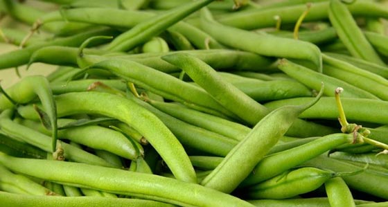 9 اطعمة صحية تقضي على الشعور بالجوع صورة رقم 3 9 اطعمة صحية تقضي على الشعور بالجوع صورة رقم 3