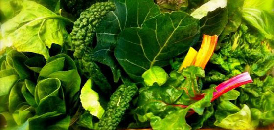 10 أطعمة تكافح ضعف النظر وتزيد من صحة الإبصار صورة رقم 5 10 أطعمة تكافح ضعف النظر وتزيد من صحة الإبصار صورة رقم 5