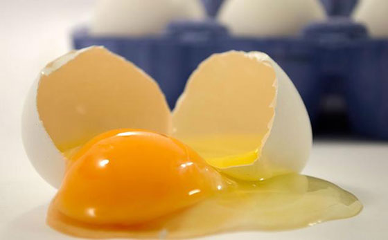 إحذروا.. إذا كنتم من مدمني تناول البيض!! صورة رقم 6