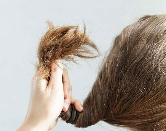 استخدمي زبدة الشيا لنعومة ولمعان الشعر صورة رقم 1