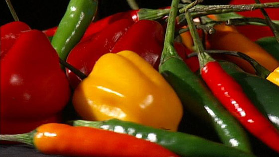 التوابل الحارة تنشط الدورة الدموية وتمنحك شعورا بالدفء صورة رقم 1