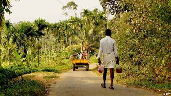 التوابل الحارة تنشط الدورة الدموية وتمنحك شعورا بالدفء صورة رقم 2