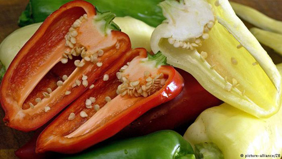 التوابل الحارة تنشط الدورة الدموية وتمنحك شعورا بالدفء صورة رقم 5