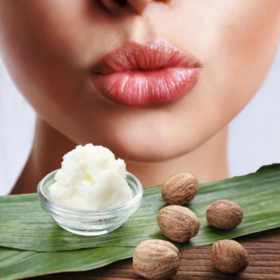 مكوّنات طبيعيّة تساعدك في حل مشكلة تشقّق الشفاه صورة رقم 6 مكوّنات طبيعيّة تساعدك في حل مشكلة تشقّق الشفاه صورة رقم 6