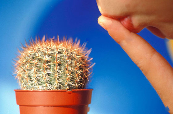 مكوّنات طبيعيّة تساعدك في حل مشكلة تشقّق الشفاه صورة رقم 8 مكوّنات طبيعيّة تساعدك في حل مشكلة تشقّق الشفاه صورة رقم 8