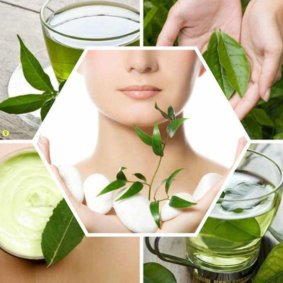 الشاي الاخضر مذهل للبشرة: نضارة، مكافحة التجاعيد والهالات السوداء صورة رقم 1