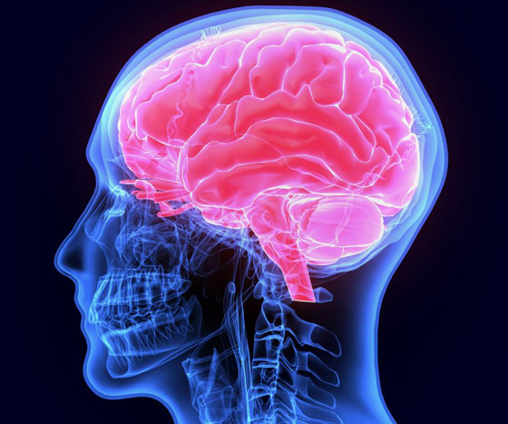 10 أشياء تساهم في تعزيز نمو الخلايا العصبية وتحسين صحة الدماغ صورة رقم 18