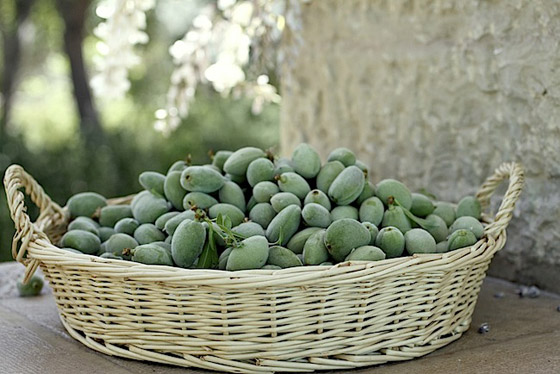 تعرفوا على أبرز فوائد وأضرار اللوز الأخضر  صورة رقم 2