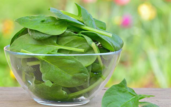 إليكم 12 مادة غذائية تساعد في تقوية الأعصاب للتخلص من التوتر صورة رقم 1