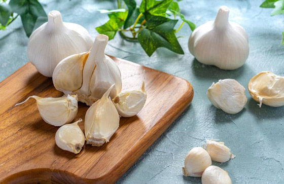 12 فائدة صحية مذهلة للثوم ستجعلكم تحرصون على تناوله يوميا صورة رقم 1