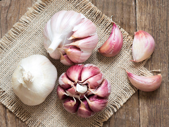 12 فائدة صحية مذهلة للثوم ستجعلكم تحرصون على تناوله يوميا صورة رقم 2