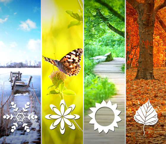 أي فصل من السنة هو المفضل لديك؟ إليك السبب وما علاقته بشخصيتك! صورة رقم 1