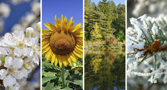 أي فصل من السنة هو المفضل لديك؟ إليك السبب وما علاقته بشخصيتك! صورة رقم 7