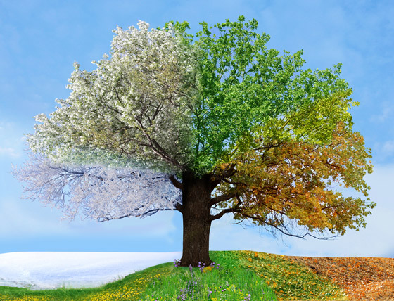 أي فصل من السنة هو المفضل لديك؟ إليك السبب وما علاقته بشخصيتك! صورة رقم 8