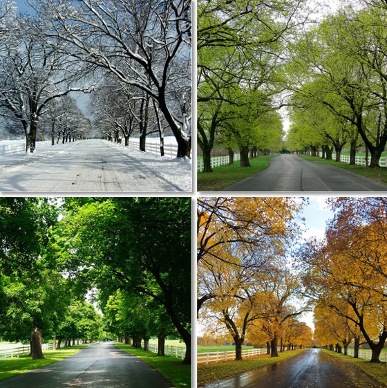 أي فصل من السنة هو المفضل لديك؟ إليك السبب وما علاقته بشخصيتك! صورة رقم 9