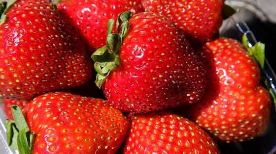 3 أنواع من التوت تحارب هذا المرض... صورة رقم 2