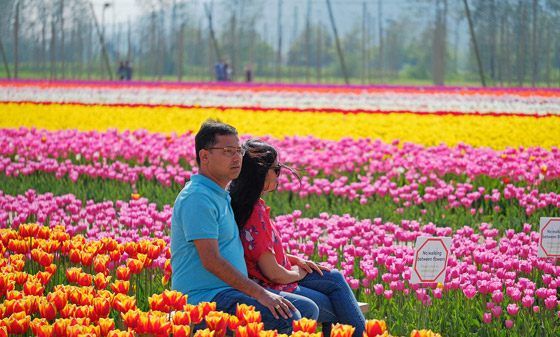 الجلوس أو المشي بالطبيعة لعلاج الإجهاد والتوتر صورة رقم 1