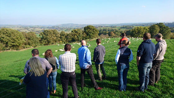 الجلوس أو المشي بالطبيعة لعلاج الإجهاد والتوتر صورة رقم 8