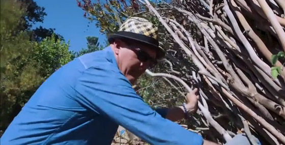 بالفيديو: تعرفوا على الرجل الذي يبني أعشاش للبشر وليس للطيور صورة رقم 1