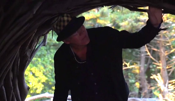 بالفيديو: تعرفوا على الرجل الذي يبني أعشاش للبشر وليس للطيور صورة رقم 4