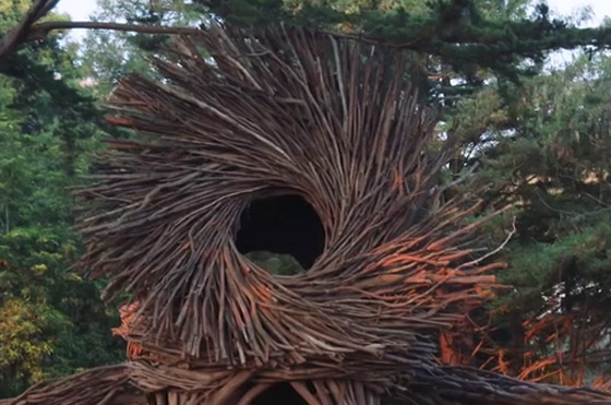 بالفيديو: تعرفوا على الرجل الذي يبني أعشاش للبشر وليس للطيور صورة رقم 3