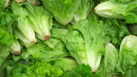 هذه الأطعمة قد تغنيكم عن الماء طوال اليوم صورة رقم 3