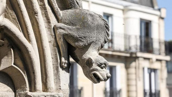 كاتدرائية نوتردام في فرنسا.. ميزاتها وأهم ما يوجد فيها صورة رقم 7