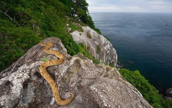 تعرفوا على أخطر عشرة أماكن للتعايش حول العالم صورة رقم 10