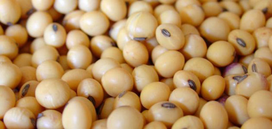  لمرضى الغدة الدرقية.. احذروا هذه الأطعمة !! صورة رقم 3