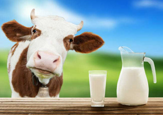 احذروا: أطعمة قد تكون مسممة! ابتعدوا عنها منها التفاح، الحليب والسلمون صورة رقم 2