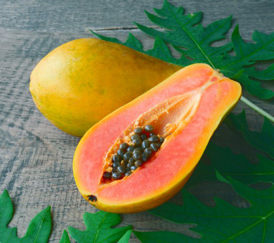 هذا ما يجب أن تعرفوه عن البابايا الفاكهة الاستوائية.. صورة رقم 6 هذا ما يجب أن تعرفوه عن البابايا الفاكهة الاستوائية.. صورة رقم 6