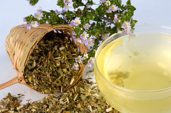 هذه الأنواع من الأطعمة والمشروبات تعالج ضعف الإبصار صورة رقم 9