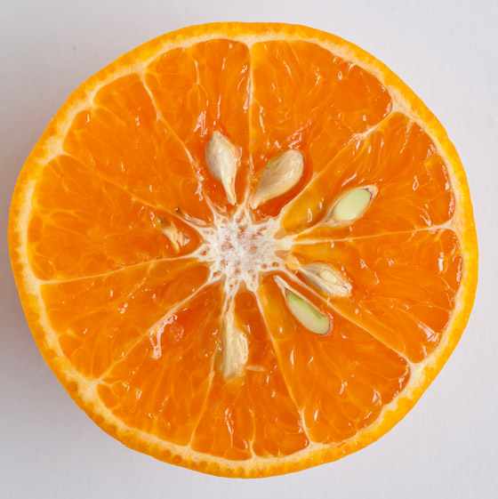 10 فوائد صحية مذهلة لبذور البرتقال ستجعلكم تحرصون على تناولها يوميا صورة رقم 3 10 فوائد صحية مذهلة لبذور البرتقال ستجعلكم تحرصون على تناولها يوميا صورة رقم 3