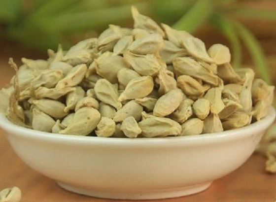 10 فوائد صحية مذهلة لبذور البرتقال ستجعلكم تحرصون على تناولها يوميا صورة رقم 2 10 فوائد صحية مذهلة لبذور البرتقال ستجعلكم تحرصون على تناولها يوميا صورة رقم 2