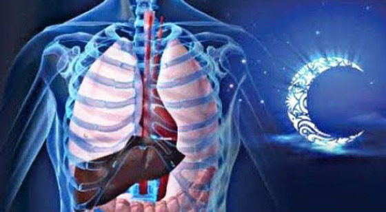 كيف يؤثر الصيام على الجهاز المناعي؟ صورة رقم 3